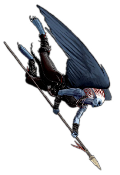 Fichier:Strix 03.jpg
