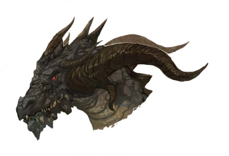 Fichier:Black Dragon.jpg