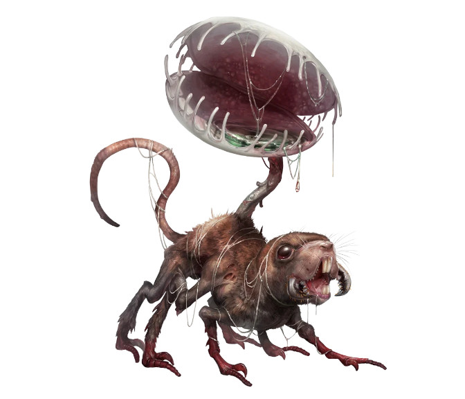 Fichier:Cythnigot.jpg