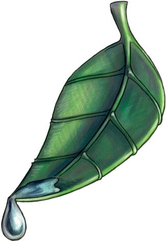 Fichier:Gozreh holy symbol.jpg