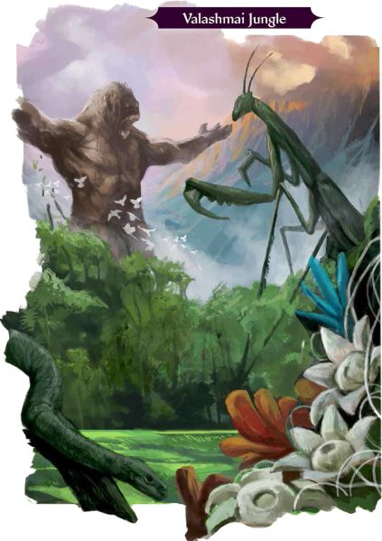 Fichier:Valashmai jungle.jpg