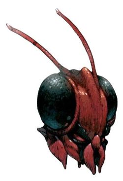 Mantis casque