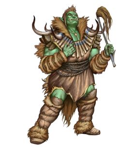 Aurochs Fashion