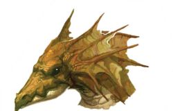 Bronze Dragon