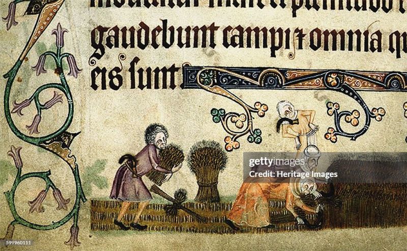 Fichier:Luttrell Psalter harvesting.jpg