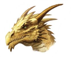 Gold Dragon