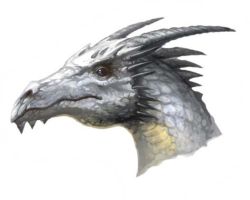 Silver Dragon